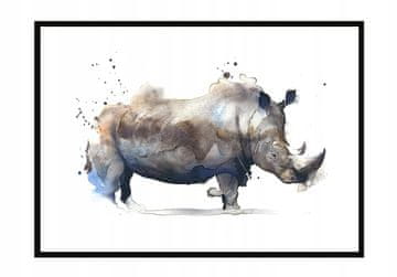 POSTER U OKVIRU 43x33 cm Nosorog P1206
