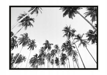 POSTER U OKVIRU 43x33 cm Palme P909