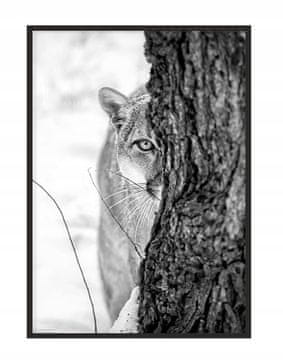 POSTER U OKVIRU 43x33 cm Pantera P1149
