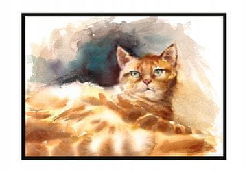 POSTER U OKVIRU 43x33 cm Mačka P1204