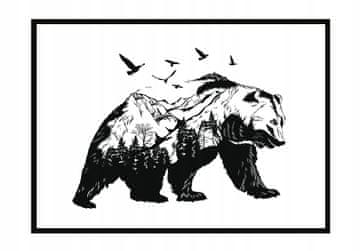 POSTER U OKVIRU 43x33 cm Medvjed P1207