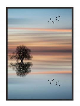 POSTER U OKVIRU 43x33 cm Drvo P939