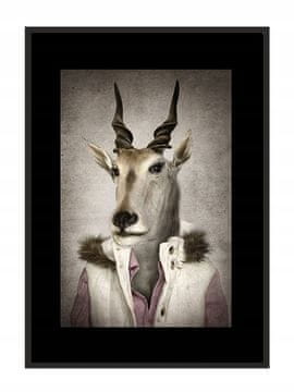 POSTER U OKVIRU 43x33 cm Kozioł P775