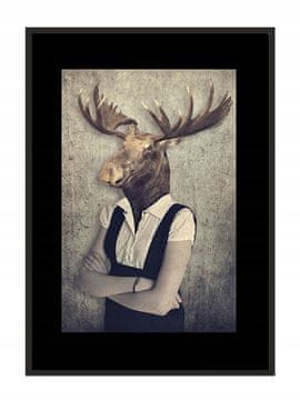POSTER U OKVIRU 43x33 cm Jelen P773