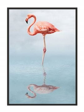 POSTER U OKVIRU 43x33 cm Flamingo P687