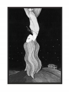 POSTER U OKVIRU 43x33 cm Dream P716