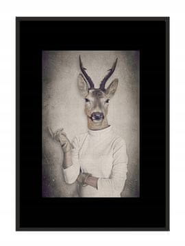 POSTER U OKVIRU 43x33 cm Chamois P774