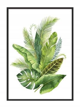 POSTER U OKVIRU 43x33 cm Listovi P717
