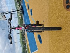 Dino bikes Junior Bike 24 "ovjesa ružičasta