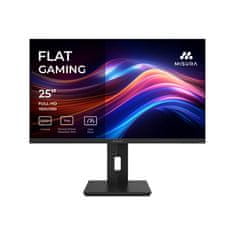 Misura Monitor za igre 25" - 260Hz - QG25DFA