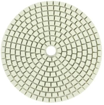 Dijamantni brusni disk 100 MM #3000