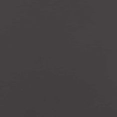 Vidaxl Prsten za saksiju Crna 30 x 30 x 20 cm Čelična vrata