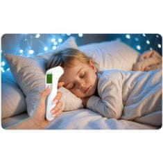 Berdsen BD-101 beskontaktni infracrveni termometar