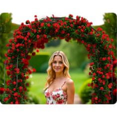 Plonos Vrtna pergola luk 240 cm PL-990