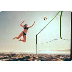 Neo-Sport Mreža i okvir za odbojku i badminton 570 cm