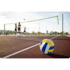Neo-Sport Mreža i okvir za odbojku i badminton 570 cm
