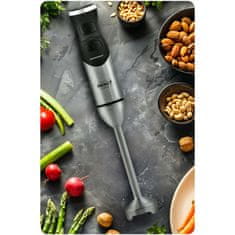 Berdsen Ručni blender BD-753 od 1500 W