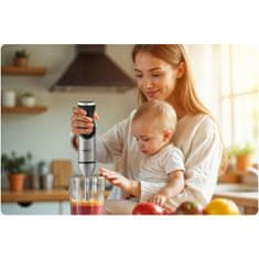 Berdsen Ručni blender BD-753 od 1500 W