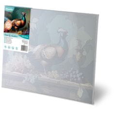 Massido Slika po broju 40x50 cm Fazan