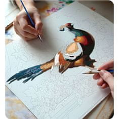 Massido Slika po broju 40x50 cm Fazan