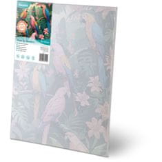 Massido Slika po broju 40x50 cm Papugi