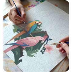 Massido Slika po broju 40x50 cm Papugi