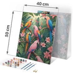 Massido Slika po broju 40x50 cm Papugi