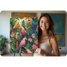 Massido Slika po broju 40x50 cm Papugi