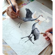 Massido Slika po broju 40x50 cm ždralovi