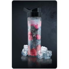Berdsen Boca blendera 600 ml + uložak za hlađenje BD-755