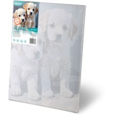 Massido Slika po broju 40x50 cm štenci