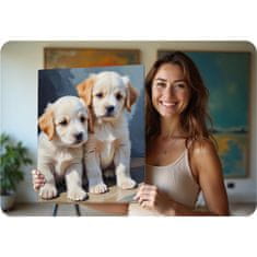 Massido Slika po broju 40x50 cm štenci