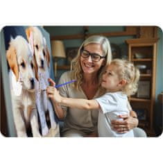 Massido Slika po broju 40x50 cm štenci