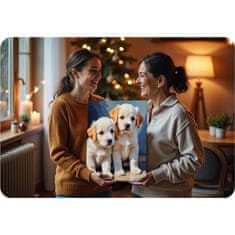 Massido Slika po broju 40x50 cm štenci