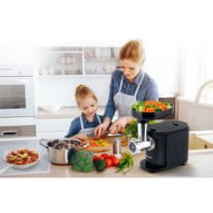 Berdsen Stroj za mljevenje mesa BD-600 300/800W