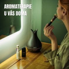 BOT Aroma difuzor B5 DO - svijetlo smeđe drvo, 400 ml