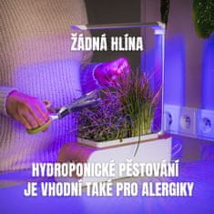 BOT Pametna posuda za cvijeće s bijelom LED diodom i svijetlim drvom