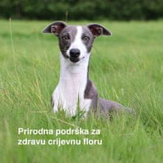 Barkode Probiotic Chew mekane poslastice za pse, prirodna podrška probavi, probiotici, prebiotici i vlakna, bez umjetnih dodataka, ProbioticChew, 2