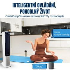 BOT Pametni hladnjak zraka WT1, WiFi, 5l, tihi način rada, glasovno upravljanje, 12-satni timer