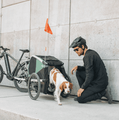 Thule Bexey Hazy kavez za pse, M, zeleni