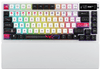 ASUS ROG Azoth X tipkovnica, ROG NX Snow V2, OLED, RGB, USB, SAD, bežična (90MP044F-BKUA30)