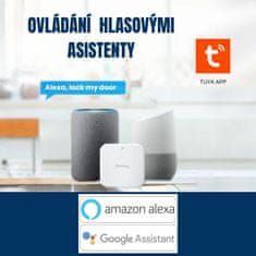 BOT Pametna kvaka za vrata Tuya H3 crna