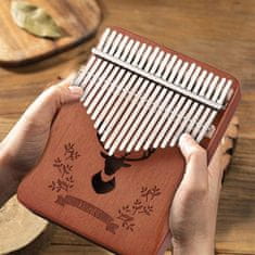 JOJOY® Kalimba afričko glazbilo, lagano za sviranje i učenje, prijenosni instrument | MELODIKO
