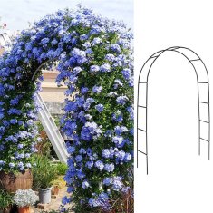 Severno Vrtna pergola za cvijeće, ruže, luk "Slatko ljeto"