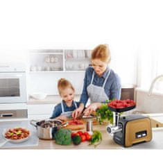 Berdsen Stroj za mljevenje mesa BD-601B 450/1200W