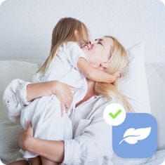 Berdsen BD-310 1500W pegla za odjeću na paru