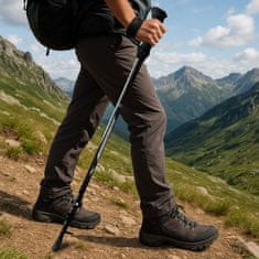Aga Treking štapovi Crna