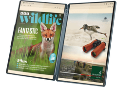 Lenovo Prijenosno računalo Yoga Book 9, Ultra 7 255H, 32 GB, 1 TB, W11H (83KJ0008RM)