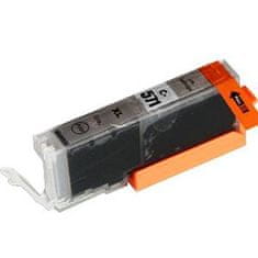 Toner123 Zamjenska tinta za Canon CLI-571GY XL / 0335C001 - siva XL