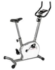 Everfit BFK-550 sobni bicikl